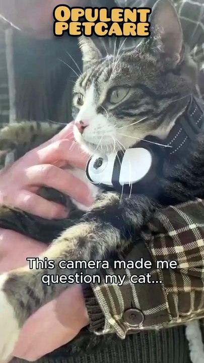 See the World Through Your Pet's Eyes 🐾 | Pet Collar Camera for Cats & Dogs – HD Recording, Wireless & Lightweight!