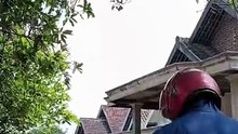 Real Time - TRIP TO VISIT MY ABANDONED LITTLE GARDEN (1)