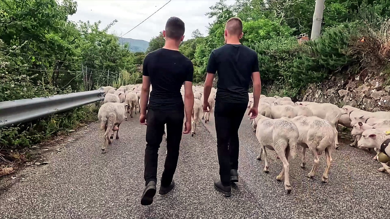 I fratelli Locci e l'antico rito della transumanza nel cuore del Gennargentu