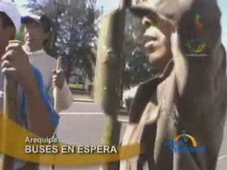 BUSES EN ESPERA - AREQUIPA