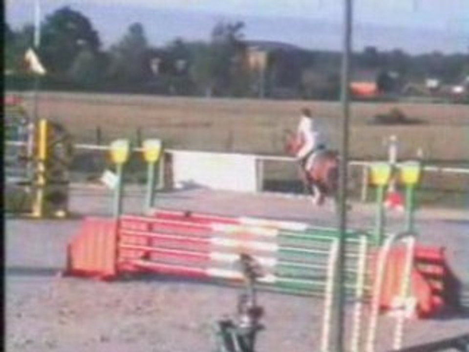 CSO de Caroline et Kenzo du 05 juillet 08 a Lessard (71)