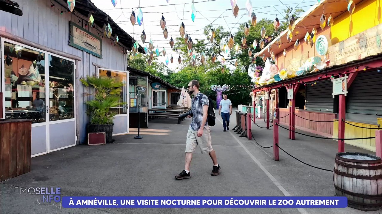 Au Zoo d'Amnéville, une visite nocturne pour dé...