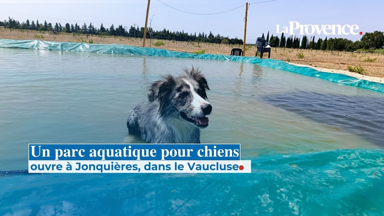 À Jonquières, un véritable paradis aquatique ou...