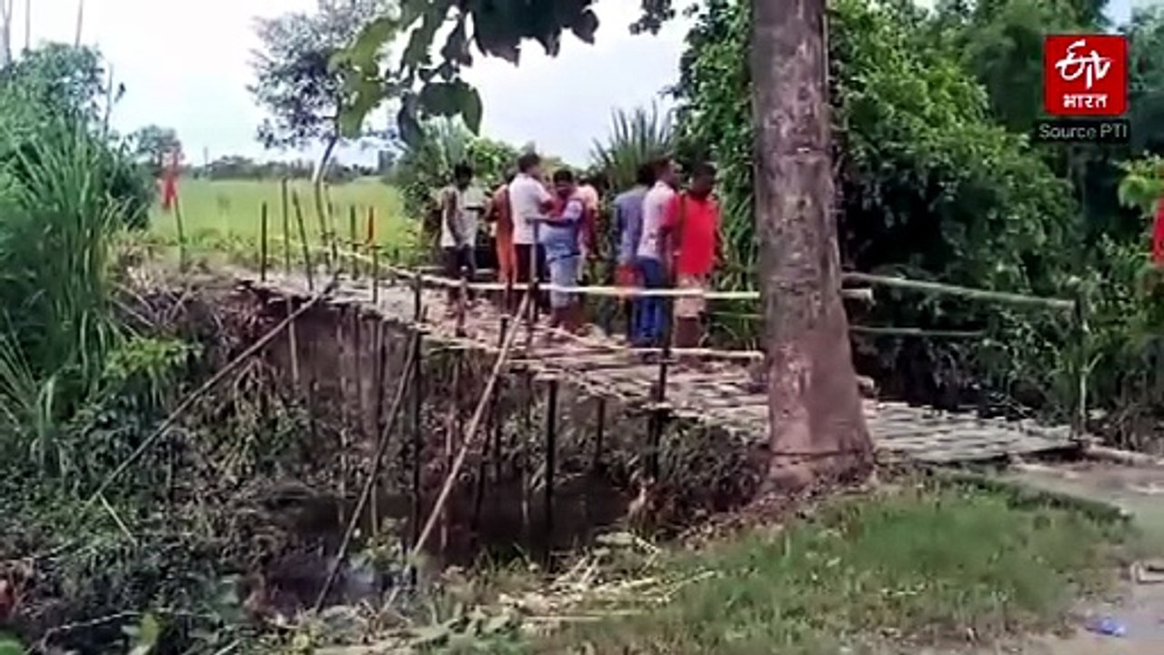 मगरमच्छों के डर से बिहार के ग्रामीणों ने पेश की मिसाल: पश्चिमी चंपारण में खुद ही बना डाला बांस का पुल