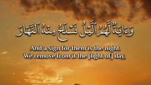 ﴿ وَآيَةٌ لَهُمُ اللَّيْلُ نَسْلَخُ مِنْهُ النَّهَارَ فَإِذَا هُمْ مُظْلِمُونَ ﴾
