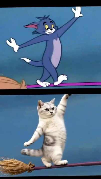 Cat Mouse Fight part 2