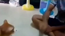 Let's play hooman. . . 😸😸😸