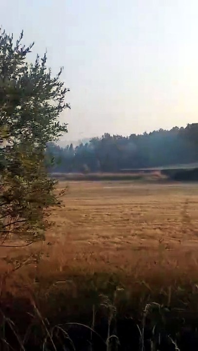 Incendio de San Cipriano