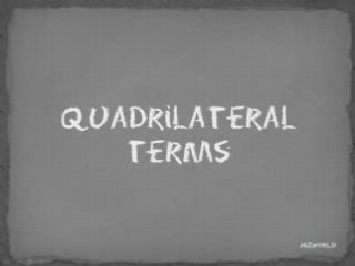 Master Key Math Terms for Quadrilaterals 📐