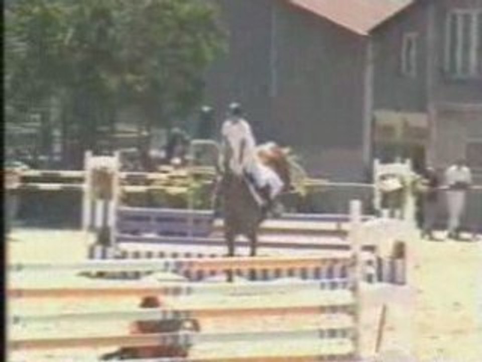 CSO Caro et Kenzo du 4 juillet 08 a LESSARD (71)