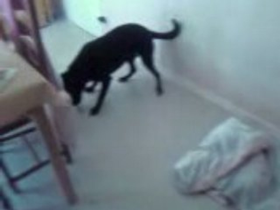 Vidéo0134