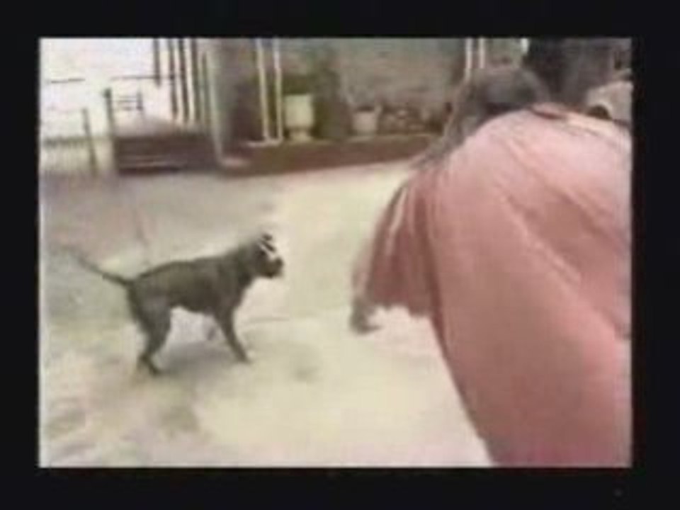 LIM & Alibi Montana - Traffic