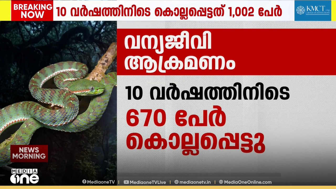 വന്യജീവി ആക്രമണം രൂക്ഷം; 10 വർഷത്തിനിടെ 233 പേർ കൊല്ലപ്പെട്ടു