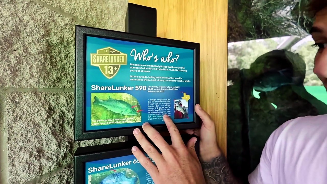 This AQUARIUM was FILLED with RECORD FISH!! (fish hatchery tour)