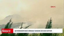 Muğla Seydikemer'deki orman yangınına müdahale ikinci günde de sürüyor