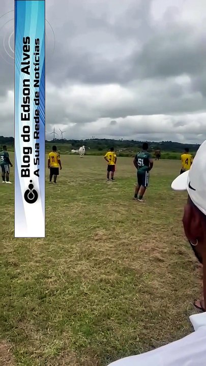 Boi invade campo, corre atrás dos jogadores e interrompe partida de futebol na divisa entre PE e PB