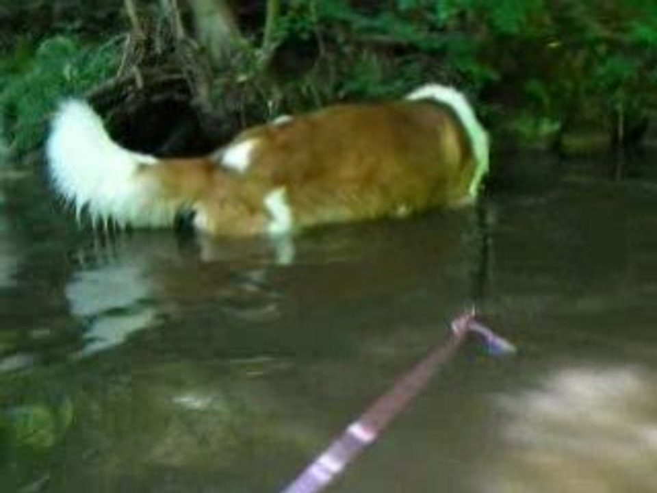 Baignade dans la foret Vol.1