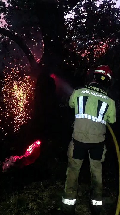 Bomberos del Ayuntamiento de Valladolid en Ávila
