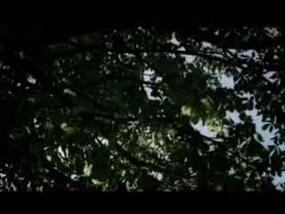 mew - why are you looking so grave