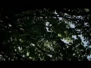 mew - why are you looking so grave