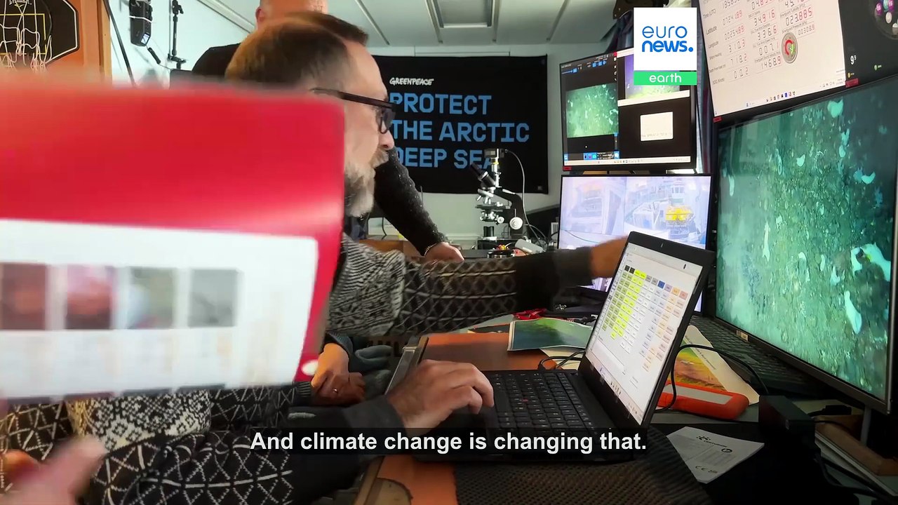 Arctic seabed mission documents fragile marine life threatened by Norway's deep-sea mining plans