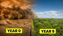 The US Built A Wall Of Trees From Canada to Texas... 90 Years Later The Weather Changed