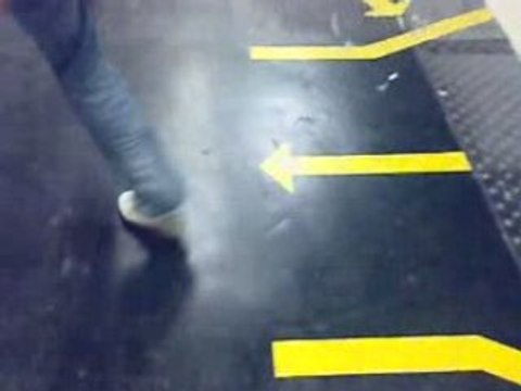 Asnieres Clichy la garenne...on aime pas les pigeons....