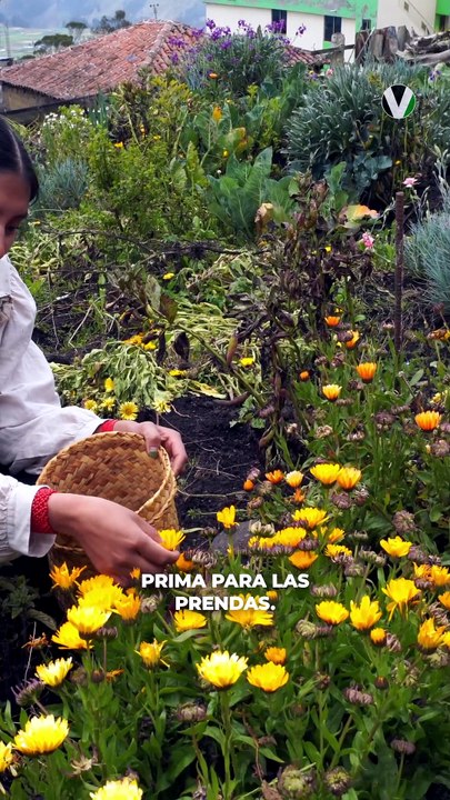 El tejido que cambió el destino de 10 mujeres en los Andes ecuatorianos