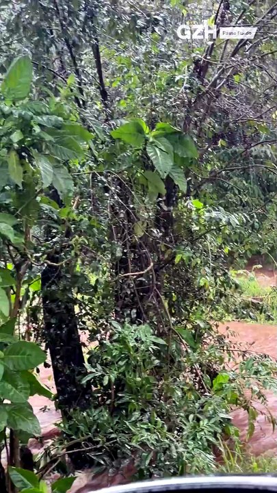 Chuva intensa atinge cidades do Norte e Noroeste do RS