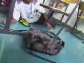 Le pitre en cours de français (amateur)