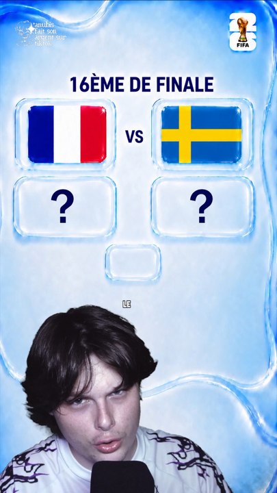 France Suède d'après une IA 🇫🇷🇸🇪