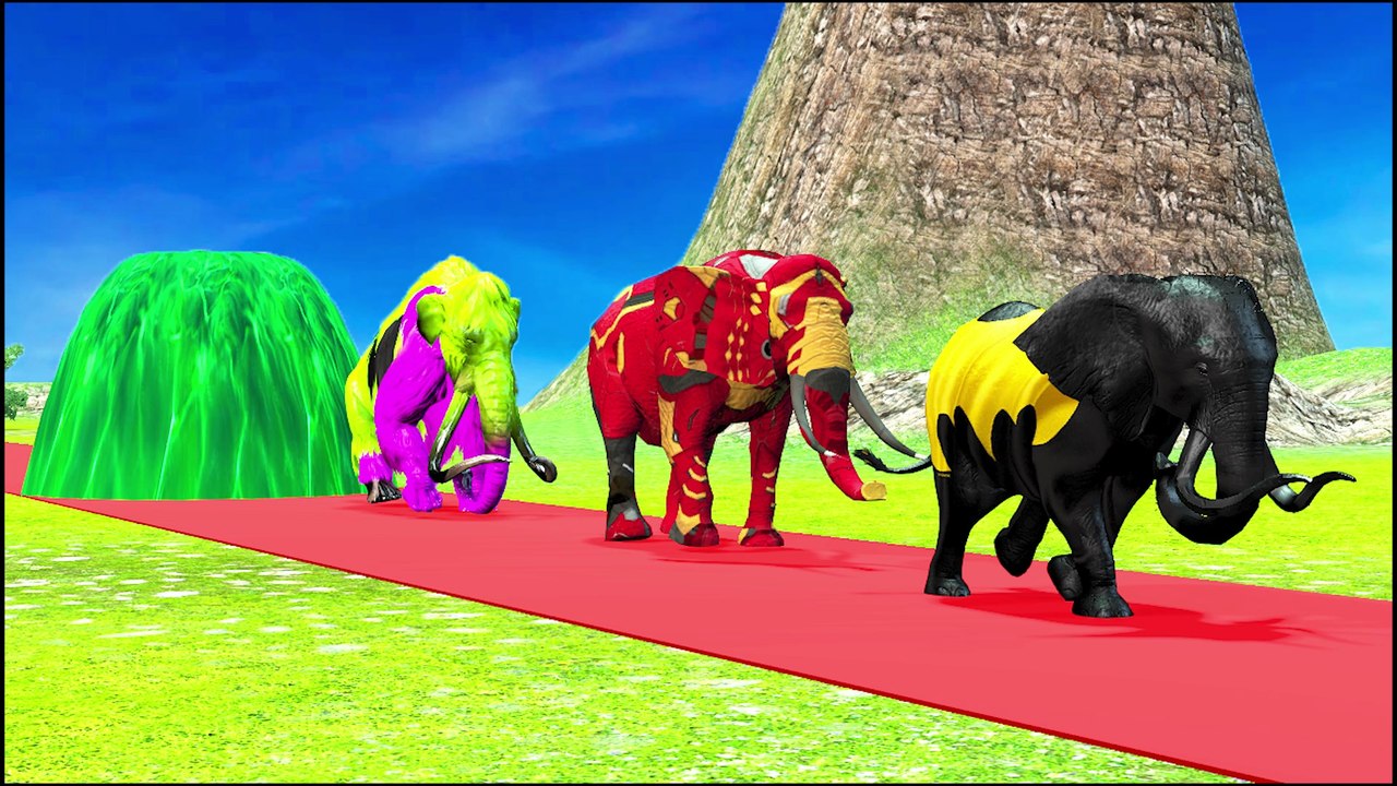 Paint Animals with marvel hero texture elephants   Fountain Crossing Animal Cartoon thu