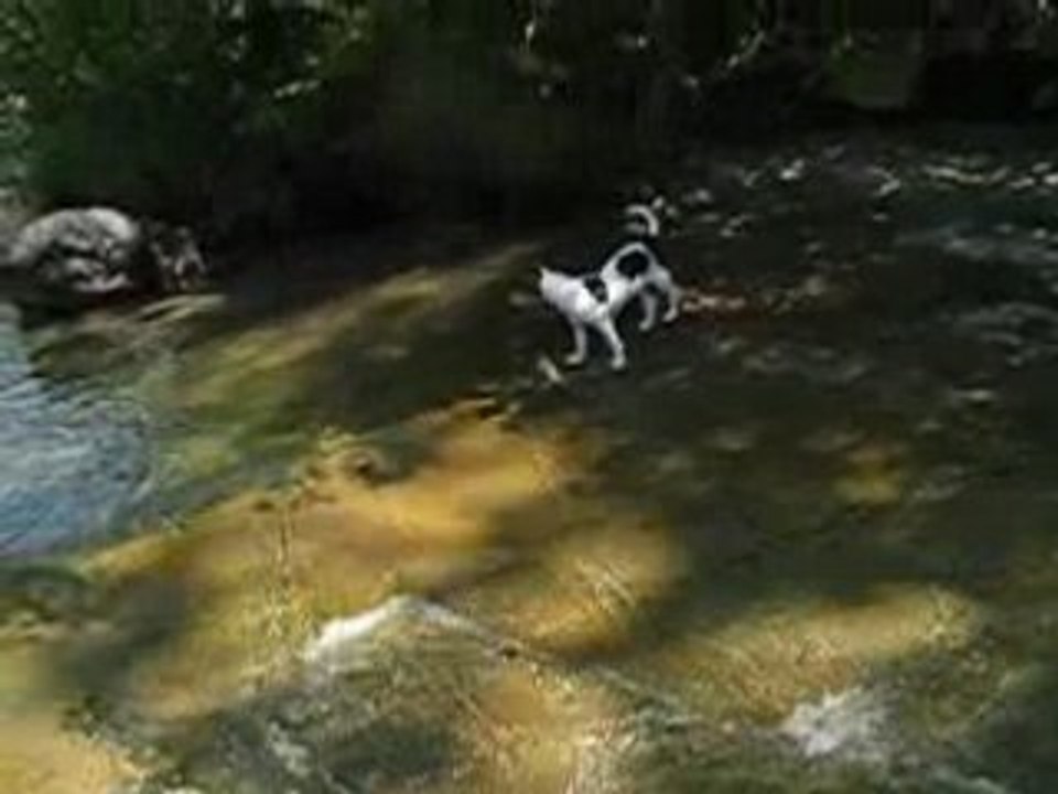 Daïa à la rivière! II
