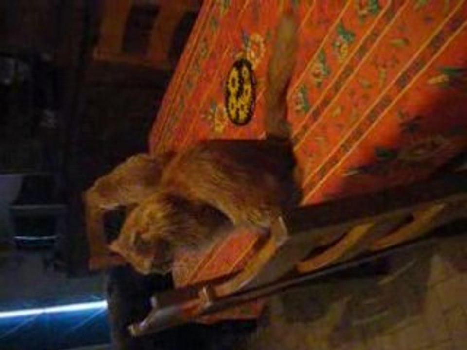 DSCF0030