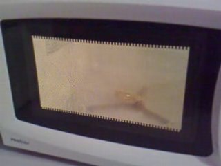 A Tin foil in a microwave. Alu ou métal dans micro ondes