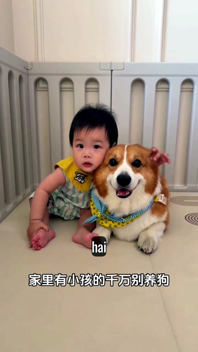 My puppy pal and I are the absolute best of friends! ||| My puppy pal and I are the absolute best of friends!