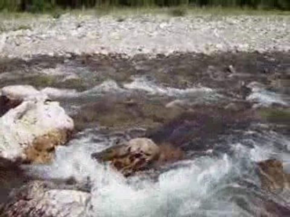 Alerte à la rivière