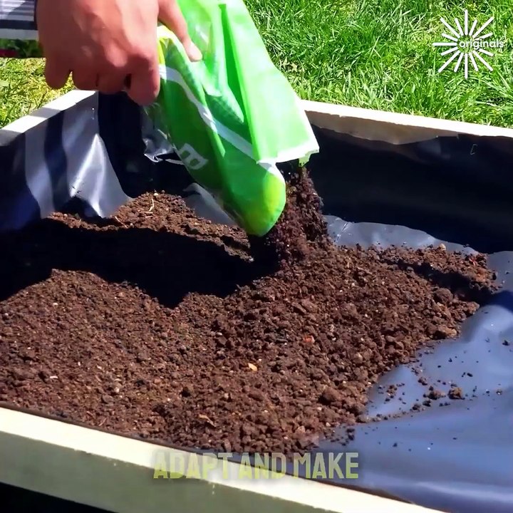 This is perfect for cultivating vegetables in a limited space🥬