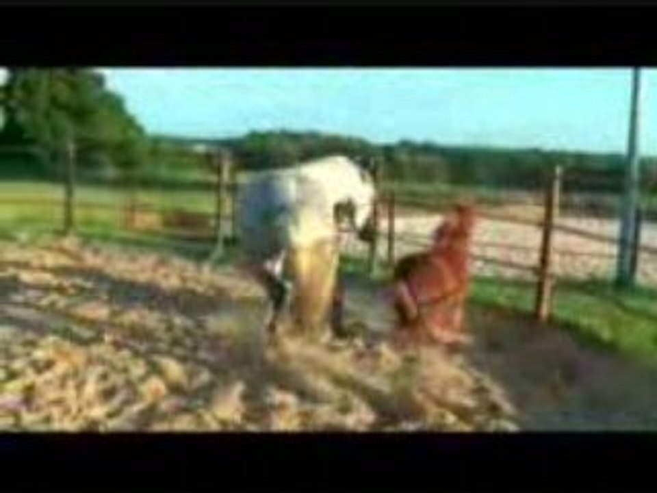 Quezac et Ratatouille 24/06/2008