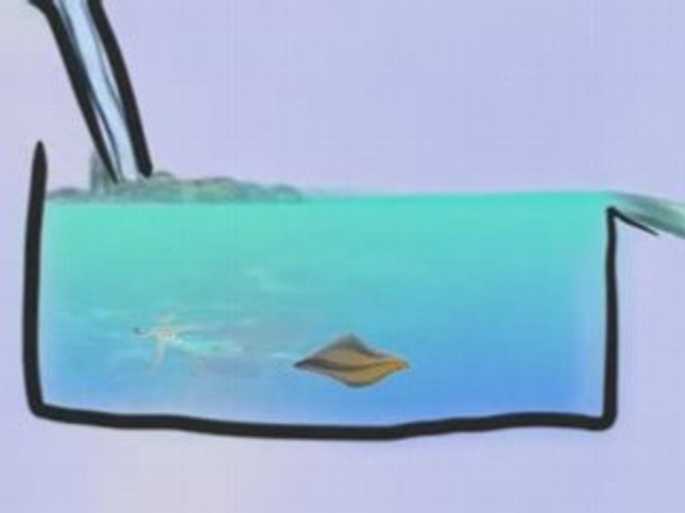 The_WaterBoard