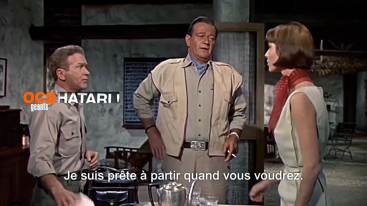 Hatari !