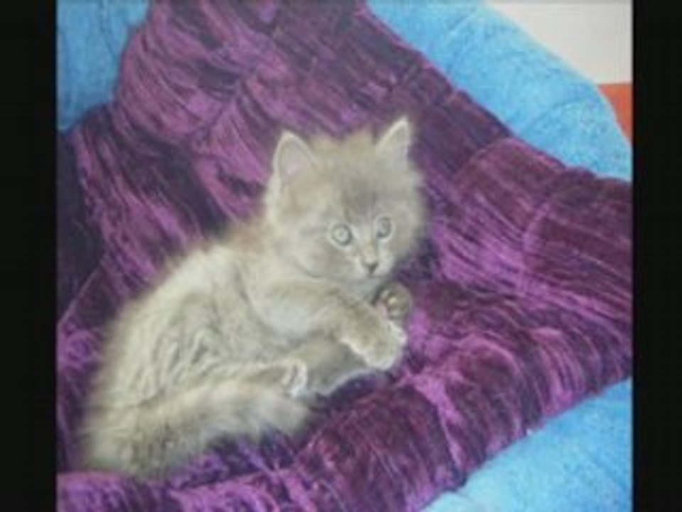 Chaman bebe jusqu'a 3 mois et demi_0001