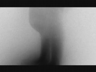 dedans les traces_Nat WILMS