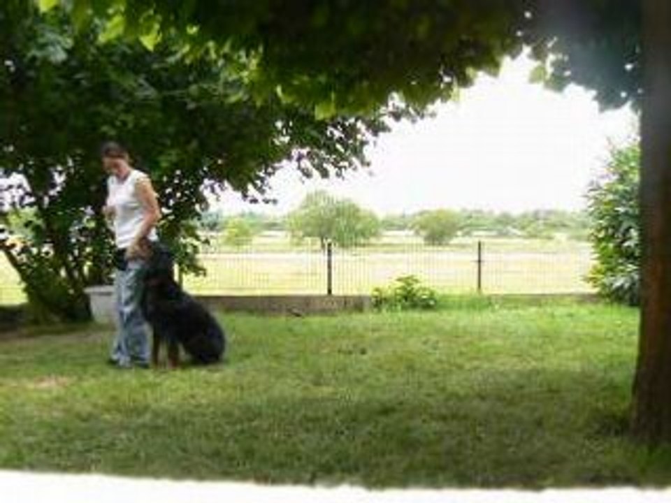 Alto obr jardin