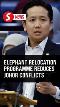 Human-elephant conflict in Johor cut by over 30%, Dewan Rakyat told