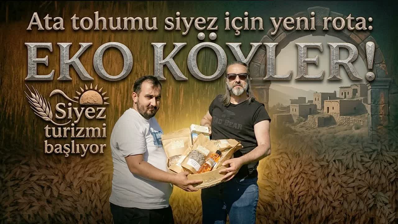 Siyezin, Anavatanı Kastamonu'da Ekim Sahası Genişliyor