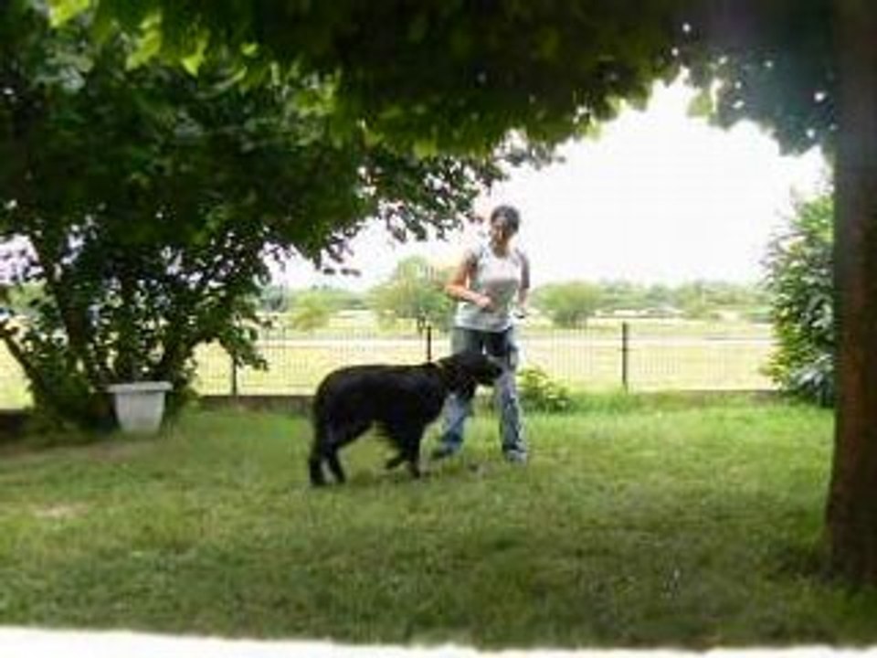 Alto obr jardin1
