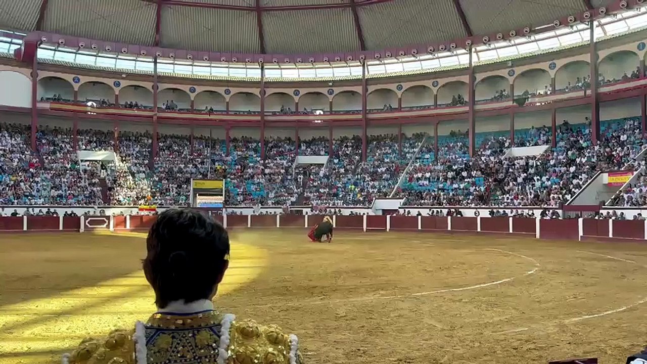 Tarde de toros en León (III)