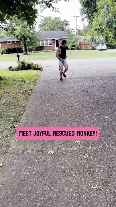 The rescued monkey melts hearts when he keeps pace on a joyful outdoor run