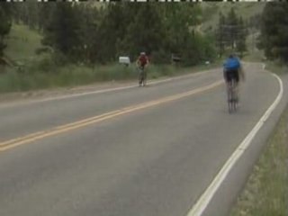 Bici contro orso